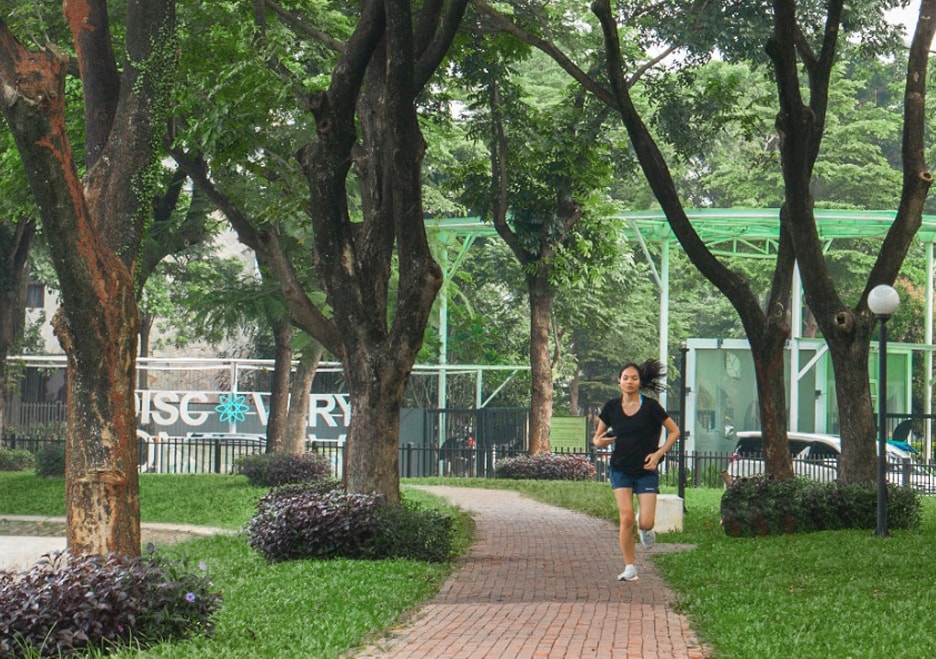 Taman